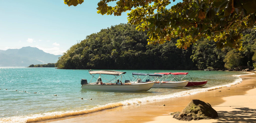 Intensément Brésil