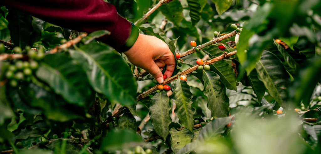 Couleurs de Colombie