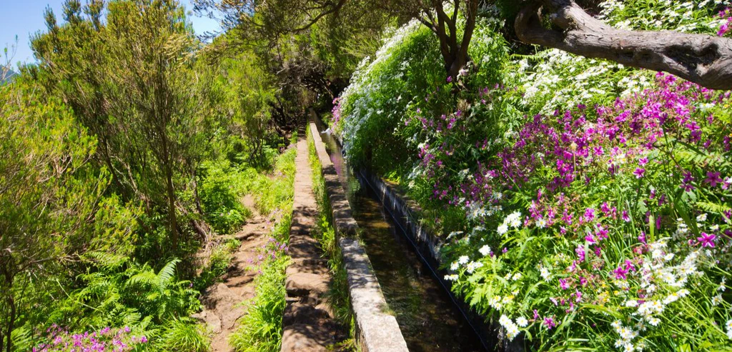 Douceurs et découvertes à Madère