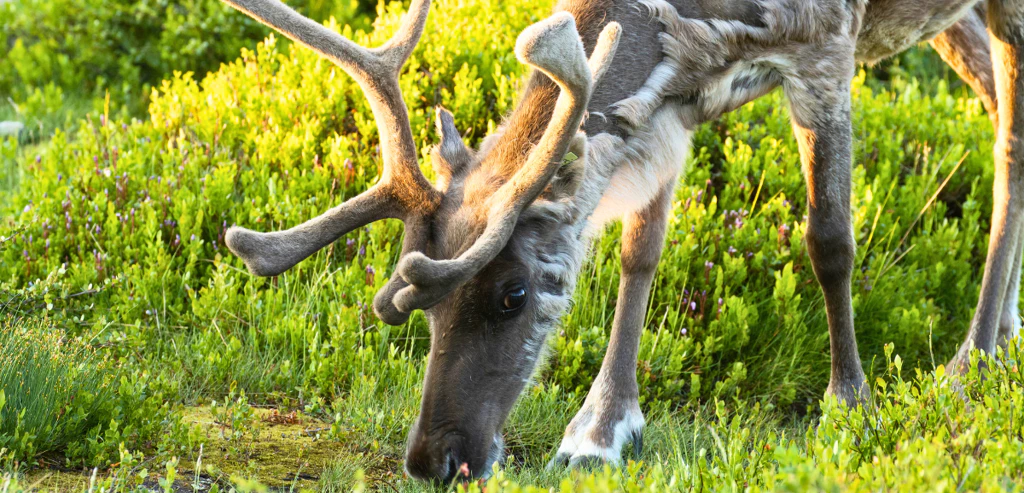 06e9b32c 6e9c 4d3e Ae16 20164bd9e059