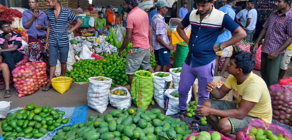 Expérience Sri Lanka