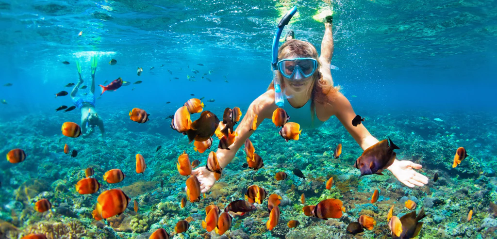 Expérience Sri Lanka