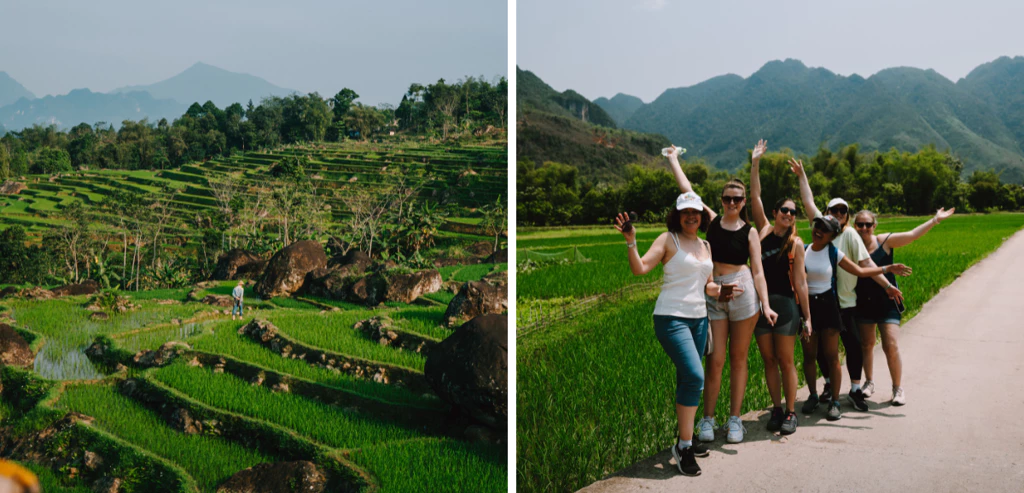 8b28e783 D765 430f 918b 0a1b7065f15d