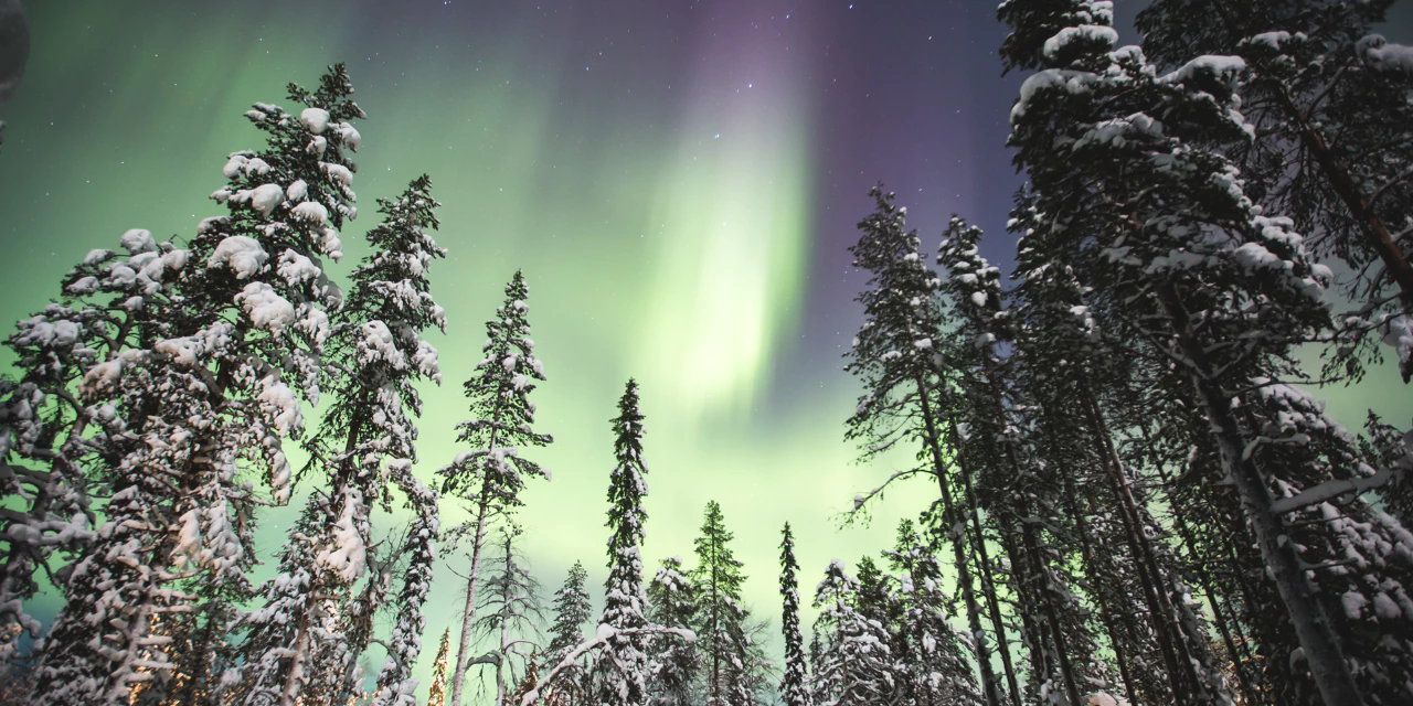 Norvège, expérience Grand Nord