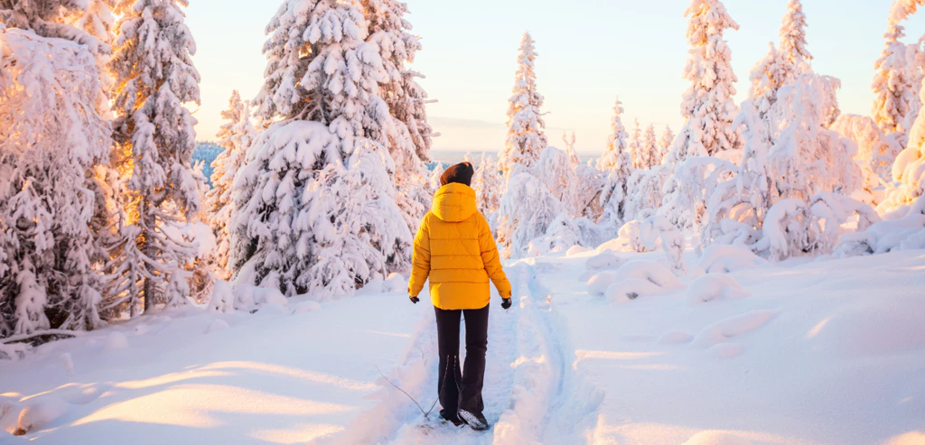 Le Chalet des Copines en Laponie