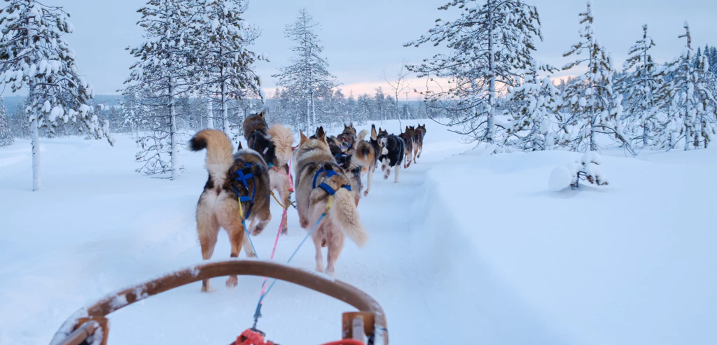 Aventure en Laponie Finlandaise