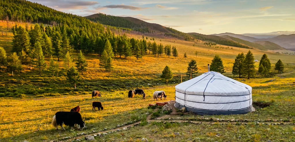 Circuit au coeur de la Mongolie nomade des steppes
